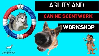 Introduction to Scentwork and Agility Workshop July 2021 [upl. by Eeraj]