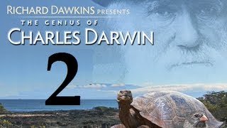 Richard Dawkins  The Genius of Charles Darwin  Part 2 The Fifth Ape Subs [upl. by Eckhardt135]