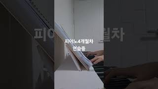 Reminiscence 테일즈위버ost피아노 4개월차 연습중 [upl. by Yrak]