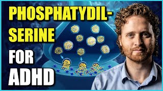 Phosphatidylserine Benefits For ADHD The Research Explaining Why [upl. by Assilla]