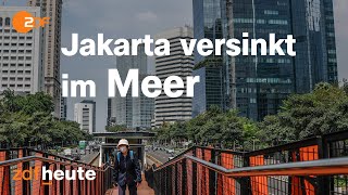 Indonesiens neue Hauptstadt MegaProjekt Nusantara  auslandsjournal [upl. by Hemminger]