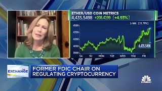 Cryptocurrency is too risky for banks FDIC chair Sheila Bair [upl. by Olumor]