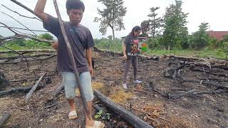 Wabah musibah pakde bukde ramai keluarga bersama meli ikut bercocok tananam di kebun [upl. by Drofdarb768]