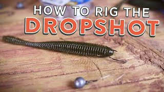 Drop Shot Rig How To Rig the Drop Shot Tutorial [upl. by Aneer575]