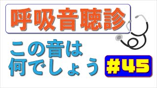 【45日目】毎日1分！こっそり呼吸音の聴診ができるようになりませんか？ [upl. by Idnyc]