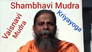 Shambhavi Vaisnavi Mudra Kriyayoga meditation Swami Nityananda Giri [upl. by Norraa]