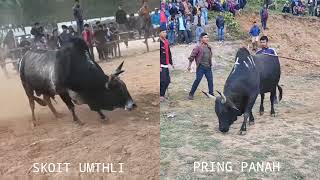 SKOIT UMTHLI 🆚 PRING PANAH KSHA191024 HA PYNDENG LITHA [upl. by Neil926]