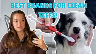 BEST Dog Toothpastes for Cleaning Whitening and Fresher Breath [upl. by Levona]