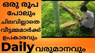 ഒരു രൂപ പോലും ചിലവില്ലാതെ വീട്ടമ്മമാർക് ദിവസ വരുമാനം നേടാം craft ചൂൽ നിർമാണം waste material craft [upl. by Eletnahs126]