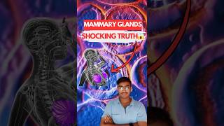 MAMMARY GLANDS The Shocking Truth Behind Their Function 😱  Biology NEET  Class 12th [upl. by Aicenaj223]