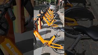 Biking Buenos Aires with CITY BIKES 🚲 EcoBici Exploring on a Budget [upl. by Nwahc]