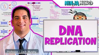 Cell Biology  DNA Replication 🧬 [upl. by Towill299]