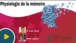 Physiologie et métabolisme de la mémoire neurotransmetteurs [upl. by Llerrahs547]