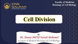 Cell division mitosis meiosis [upl. by Fidole]