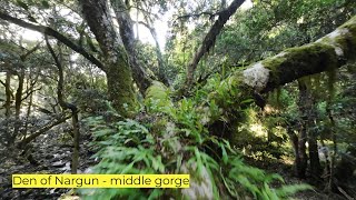 Den of Nargun middle gorge [upl. by Kira]