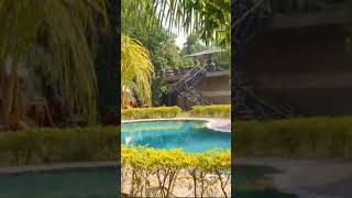 Aranyam resort bandhavgarh [upl. by Stromberg]