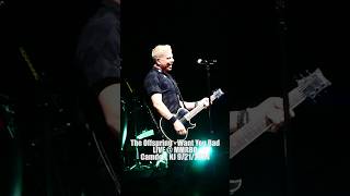 The Offspring Want You Bad Live at MMRBQ Camden NJ 2024 offspring mmrbq concert livemusic [upl. by Celin600]