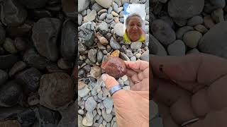 Gem Brecciated Red Jasper shorts gemstonecollector rockhounding [upl. by Giraldo]