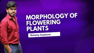 MORPHOLOGY OF FLOWERING PLANTS  CHAPTER 3 BOTANY  PLUS ONE [upl. by Amadeus]