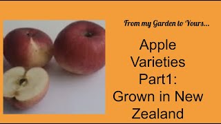 Apple Varieties Part 1 Grown In New Zealand [upl. by Hamilton]