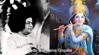 Yadu Nandana Gopala  Sai Krishna Bhajan Students [upl. by Nywg]