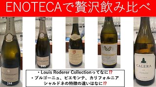 ENOTECAで贅沢飲み比べシャンパン、シャルドネ！ [upl. by Liesa]