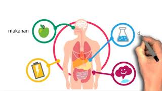 Metabolisme Anabolisme dan Katabolisme IPA Kelas 7 SMP [upl. by Leigha]