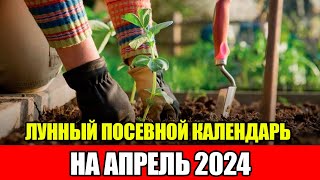 Лунный Посевной Календарь на АПРЕЛЬ 2024  Сажаем только в БЛАГОПРИЯТНЫЕ ДНИ [upl. by Godfrey]