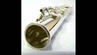 Blip Blip Blip for solo flute by Gary Schocker Live Recordingwmv [upl. by Stratton]