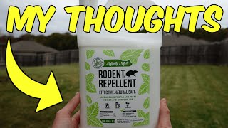 Review of the Mighty Mint Rodent Repellent [upl. by Ching]