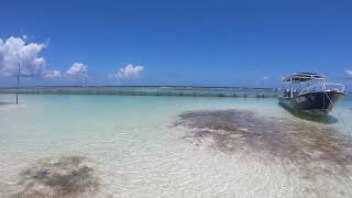 Yaya Beach Club Costa Maya Mahahual Quintana Roo Mexico [upl. by Reamy]