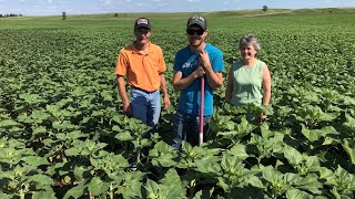 Improving Soil Health in Clay County [upl. by Ydnem285]