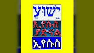 Lealem Tilahun Mezmur quotሁሉን እርገህልኛልquot ❤👑🙏🏾😇👏🏽 [upl. by Watkins]