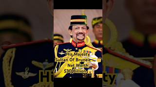 His Majesty Sultan Of Brunei 👑🇧🇳 Net Worth 30 Billion 😱 brunei sultanbrunei hismajesty foryou [upl. by Lester]