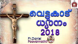 Fr Daniel Poovannathil Vettukadu 4 May 2018 [upl. by Anileuqcaj]