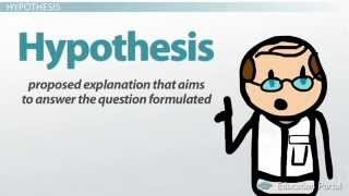 The Scientific Method Applied to Environmental Problems Definition Steps and Applications [upl. by Harper]