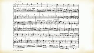 Mozart Dodici variazioni per pianoforte su quotAh vous diraisje Mamanquot KV265 [upl. by Fairfax769]