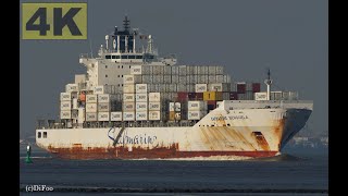 SAFMARINE BENGUELA  Shipspotting Germany 🇩🇪 IMO 9355367  River Elbe near Otterndorf  4K VIDEO [upl. by Anayet765]