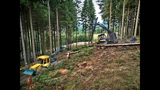 🌲4K HSM 904 amp Ponsse Buffalo • Skidder amp Forwarder • Langholz Rückung • Slope Hang • Alterauge🌲 [upl. by Yznel434]