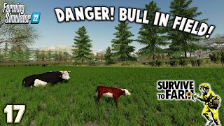 HUNGRY FROLICKING COWS ‘SURVIVE to FARM’ SERIES Ep17  Farming Simulator 22  LET’S PLAY [upl. by Anirtep]