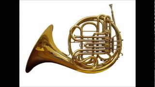 Mozart  Horn Concerto No 2 in E flat K 417 complete [upl. by Eldnar]