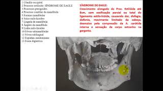 ANATOMIA ÓSSEA DA CABEÇA PARA ODONTOLOGIA PARTE 2 [upl. by Horwitz]