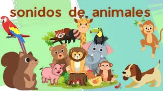 Descubre los Animales y sus Sonidos 🔊🐾  Aprende Cómo Son y Dónde Viven PARTE 1 [upl. by Anniroc259]