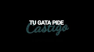 Thomy DJ  Tu gata pide cast1go [upl. by Messing759]