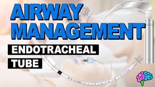 Anatomy of the Endotracheal Tube ET Tube  Airway Management [upl. by Adnarem76]