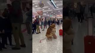 Reuniting with my dog at the airport shorts dogs reunion [upl. by Naoh]