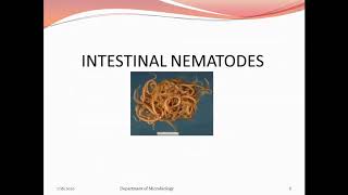 Intestinal Nematodes Part I [upl. by Nanyk]