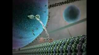 Kinesin protein walking on microtubule [upl. by Nalorac]