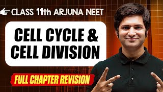 Cell Cycle amp Division  COMPLETE Chapter in 1 Video  Quick Revision  Class 11th Arjuna NEET [upl. by Nnyleve]