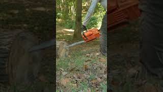 Chainsaw kickback satisfying chainsaw kickback [upl. by Ramal]